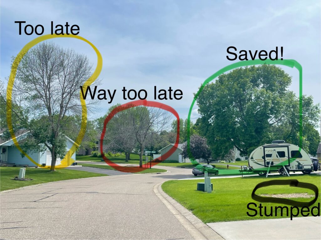 Can it be saved, or is it too late?